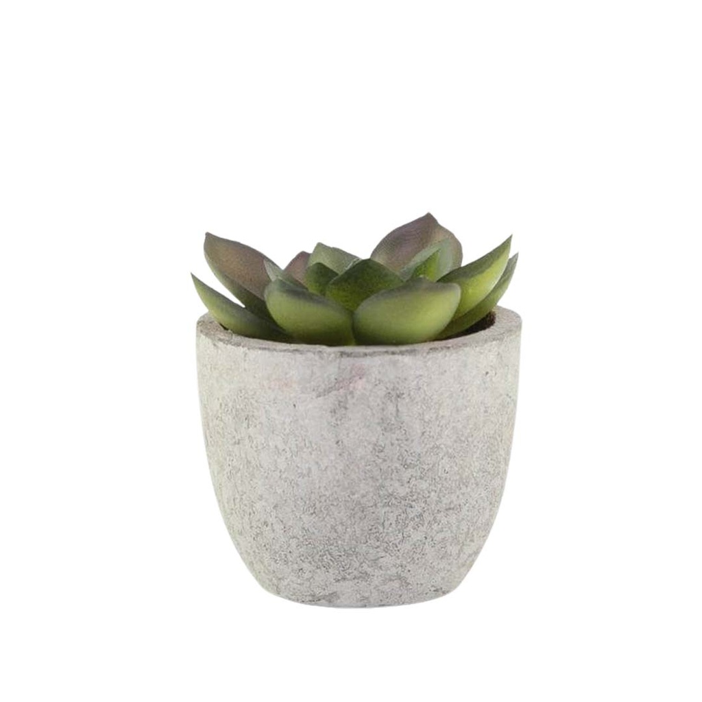 CAMAS - Artificial Succulent Plant in Pulp Pot